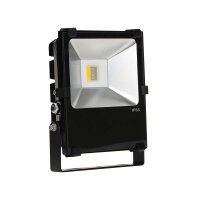 RGBW floodlight ZigBee compatible 10-190 Watt