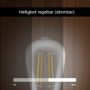 ST64 LED E27 Leuchtmittel ZigBee3.0 Pro Serie CCT Farbtemperatur Glas - Amber