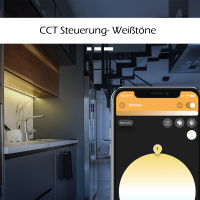 GLEDOPTO Steuergerät Controller ZigBee 3.0 Pro Mini Version RGBCCT - Farbwechsel + CCT